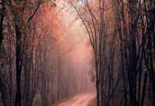 PG娱乐:厄瓜多尔咋这么猛?凯塞多领衔2亿首发11人前中后场猛将云集.