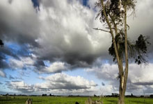 PG娱乐:“疯疯癫癫”的全红婵,让全国千万观众为她声援!.