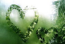 PG娱乐：“疯疯癫癫”的全红婵，让全国千万观众为她声援！.